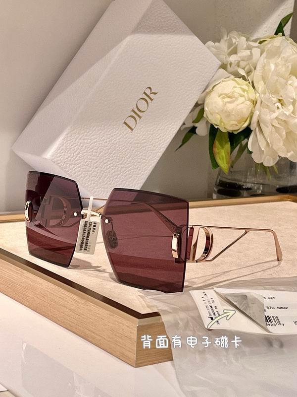 DIOR Sunglasses 205